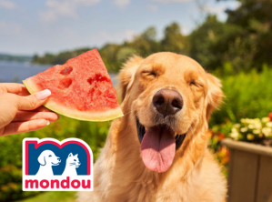 Juillet - Nouveau partenaire - Mondou_v2