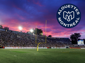 Juin - Offre du mois - Alouettes