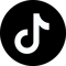 TikTok Logo